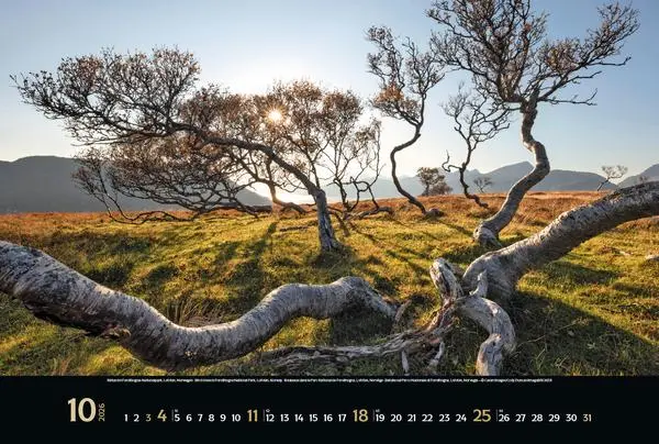 Bild: 9783731883494 | Spirit of Earth 2026 | Verlag Korsch | Kalender | 14 S. | Deutsch