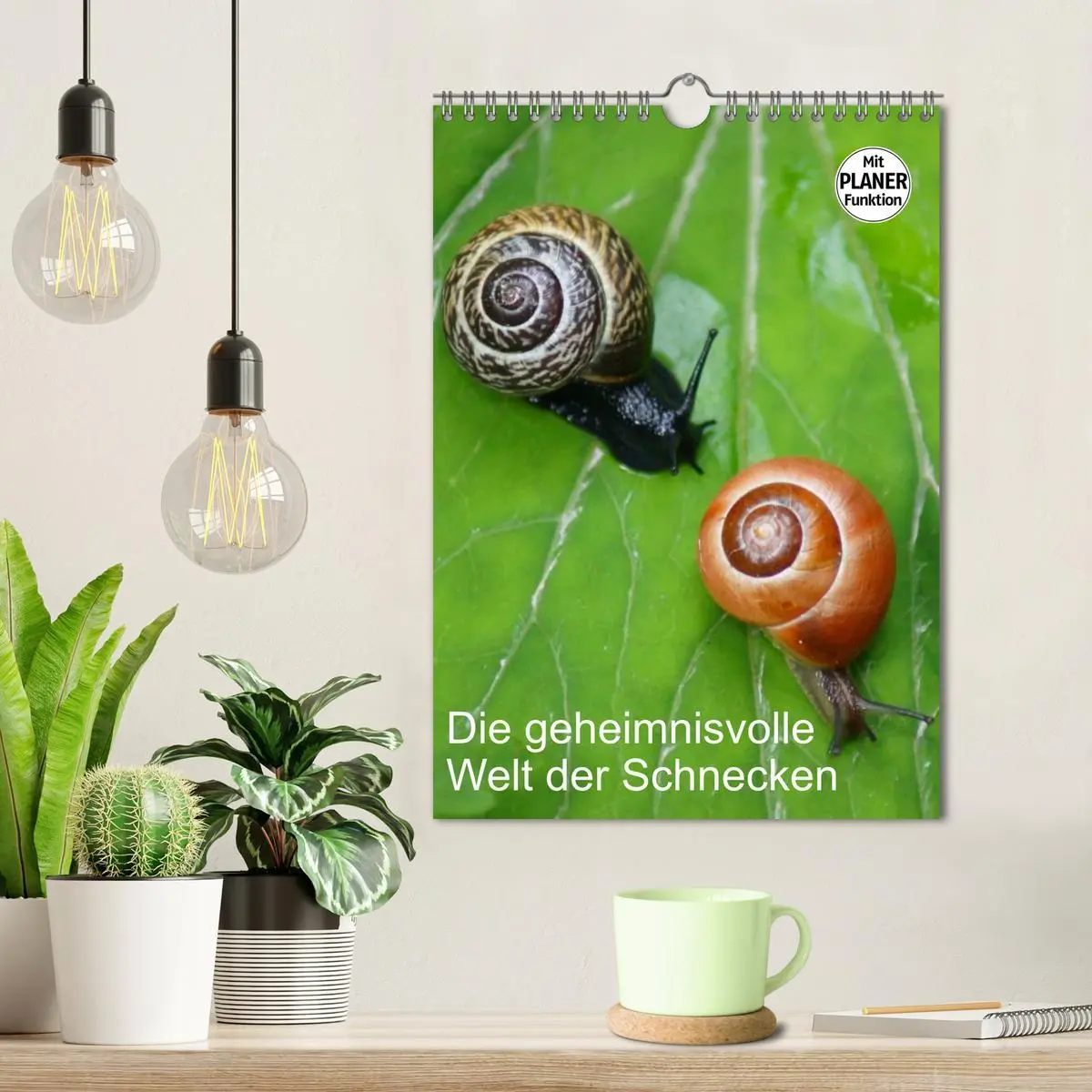 Bild: 9783516423594 | Die geheimnisvolle Welt der Schnecken (Wandkalender 2026 DIN A4...