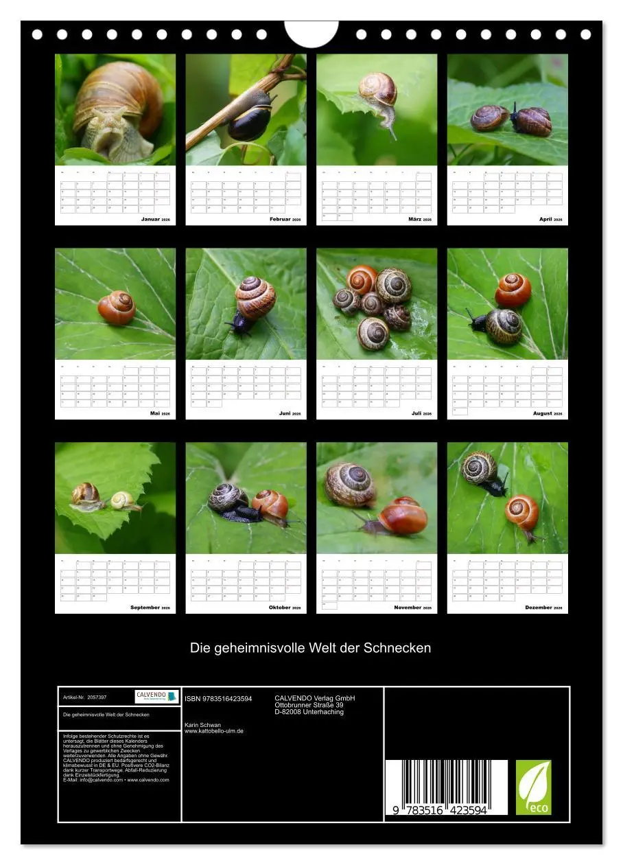 Bild: 9783516423594 | Die geheimnisvolle Welt der Schnecken (Wandkalender 2026 DIN A4...