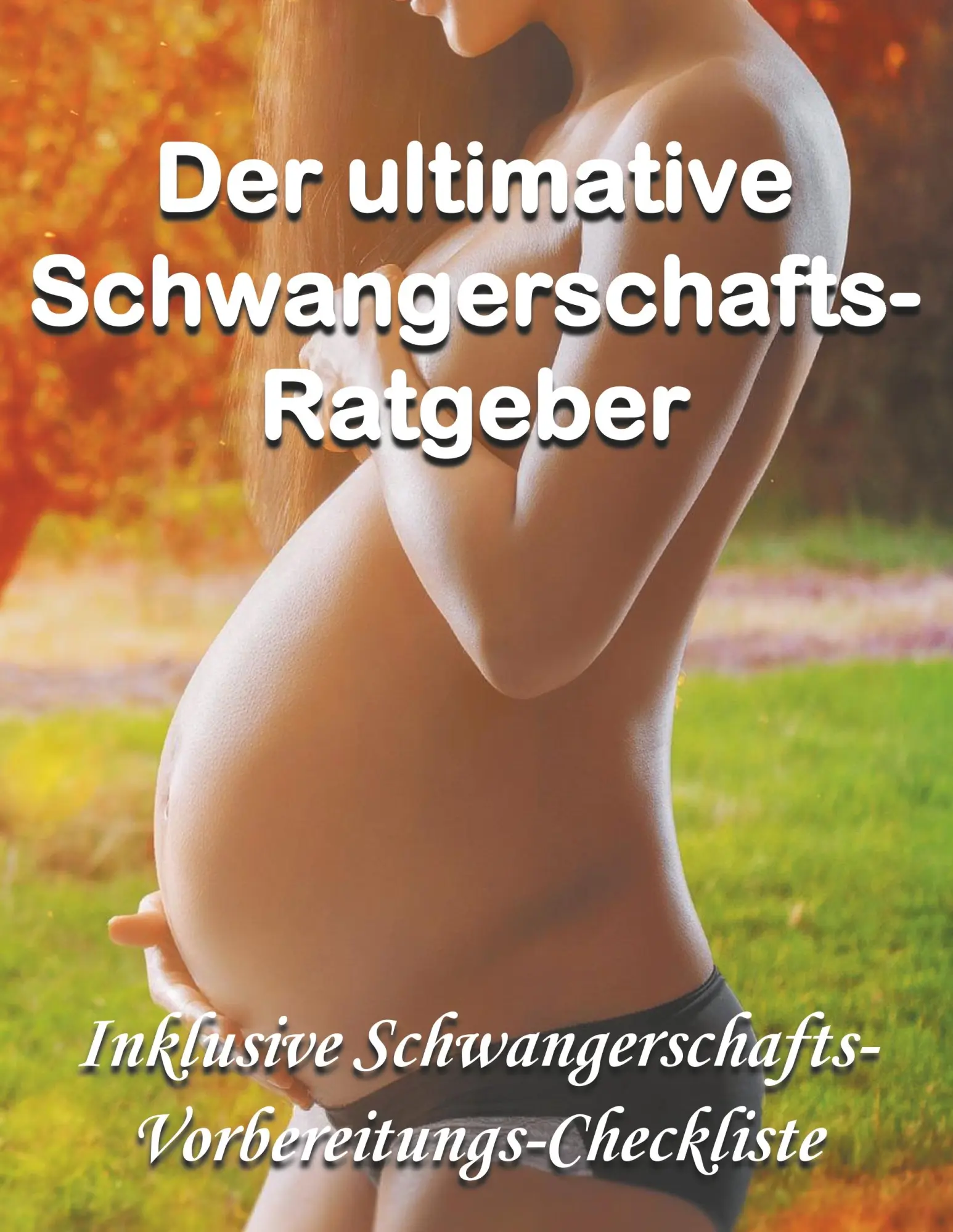 Cover: 9783749483594 | Der ultimative Schwangerschafts-Ratgeber | Lina Mauberger (u. a.)