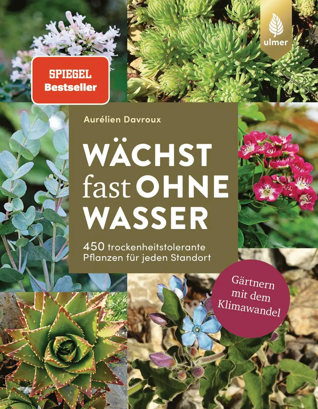 Cover: 9783818613594 | Wächst fast ohne Wasser | Aurélien Davroux | Taschenbuch | 312 S.