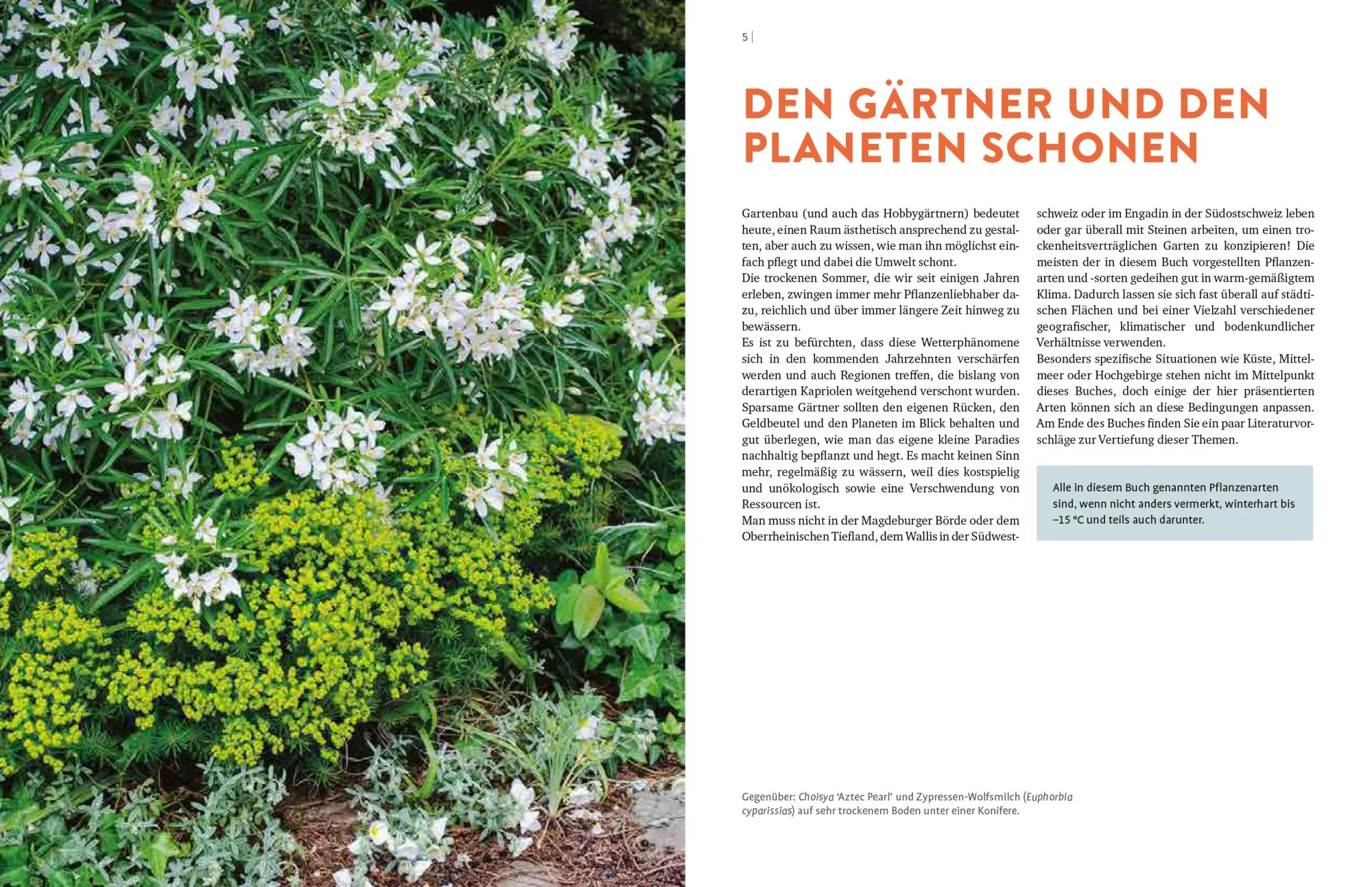 Bild: 9783818613594 | Wächst fast ohne Wasser | Aurélien Davroux | Taschenbuch | 312 S.