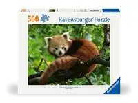 Cover: 4005555003694 | Erwachsenenpuzzle 500 Teile - Süßer roter Panda | Spiel | 12000369
