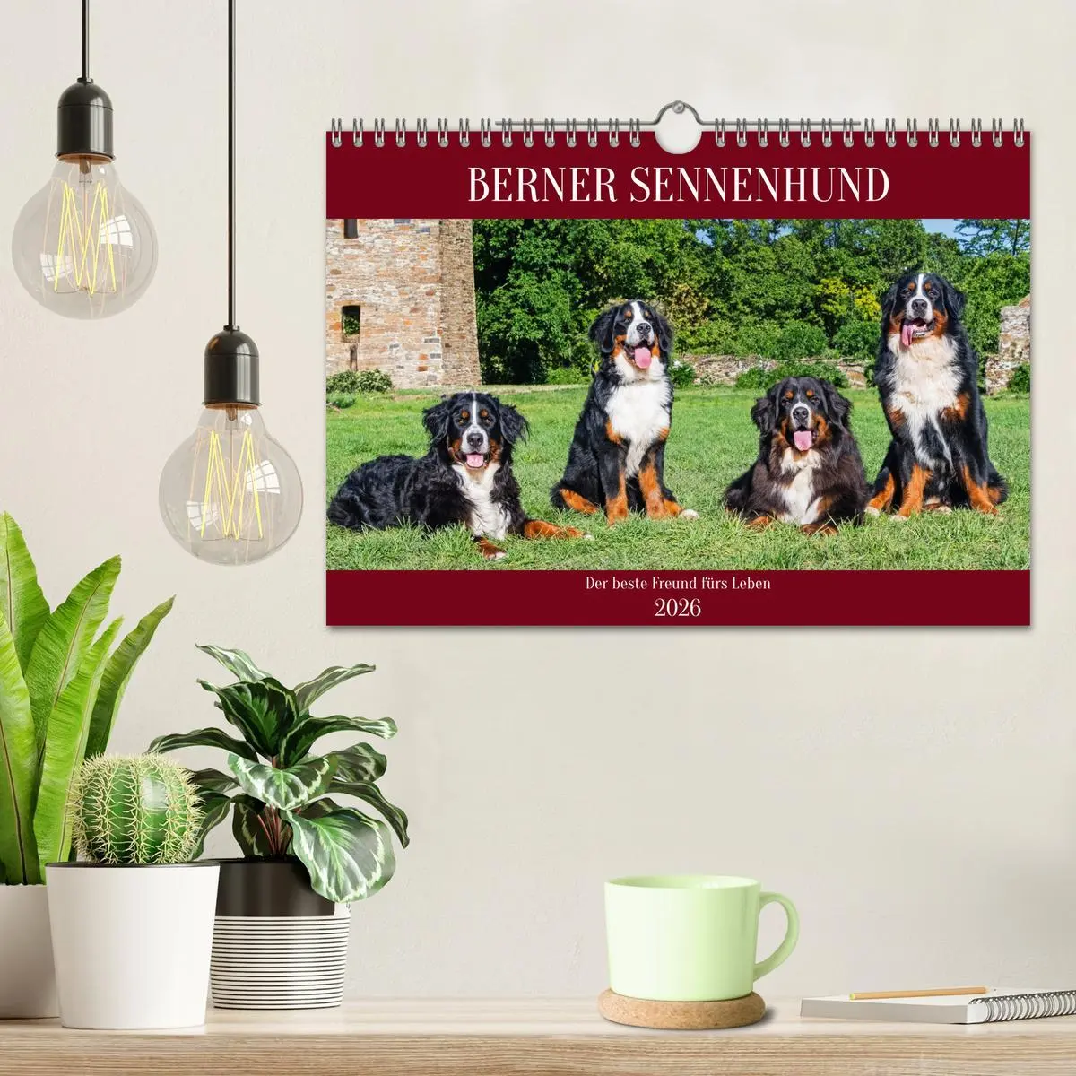 Bild: 9783457323694 | Berner Sennenhund - Der beste Freund fürs Leben (Wandkalender 2026...