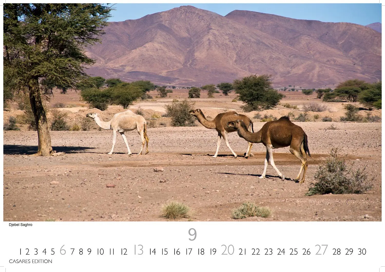 Bild: 9781835243794 | Marokko 2026 S 24x35 cm | H. W. Schawe | Kalender | 14 S. | Deutsch