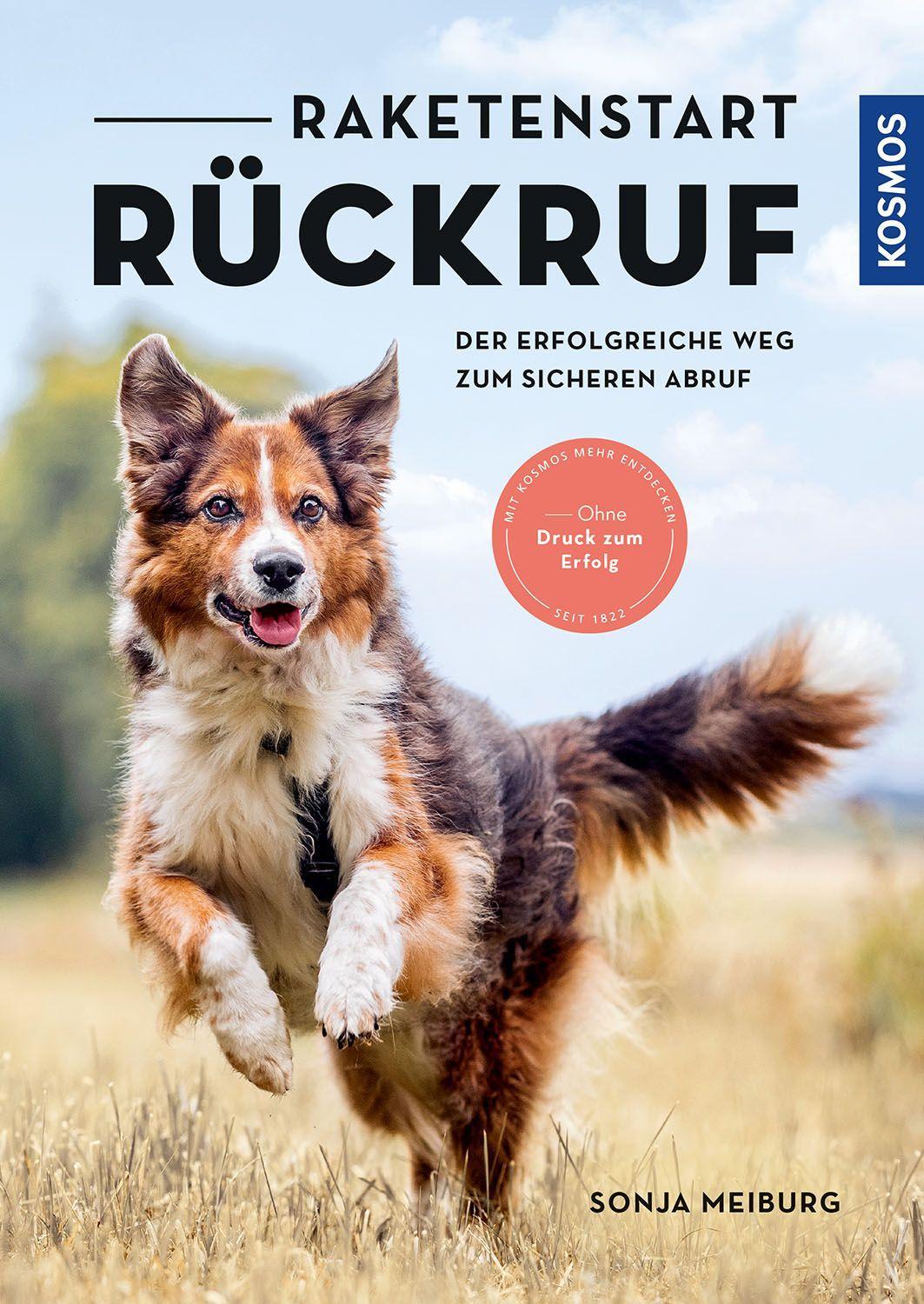 Cover: 9783440173794 | Raketenstart-Rückruf | Sonja Meiburg | Taschenbuch | 208 S. | Deutsch