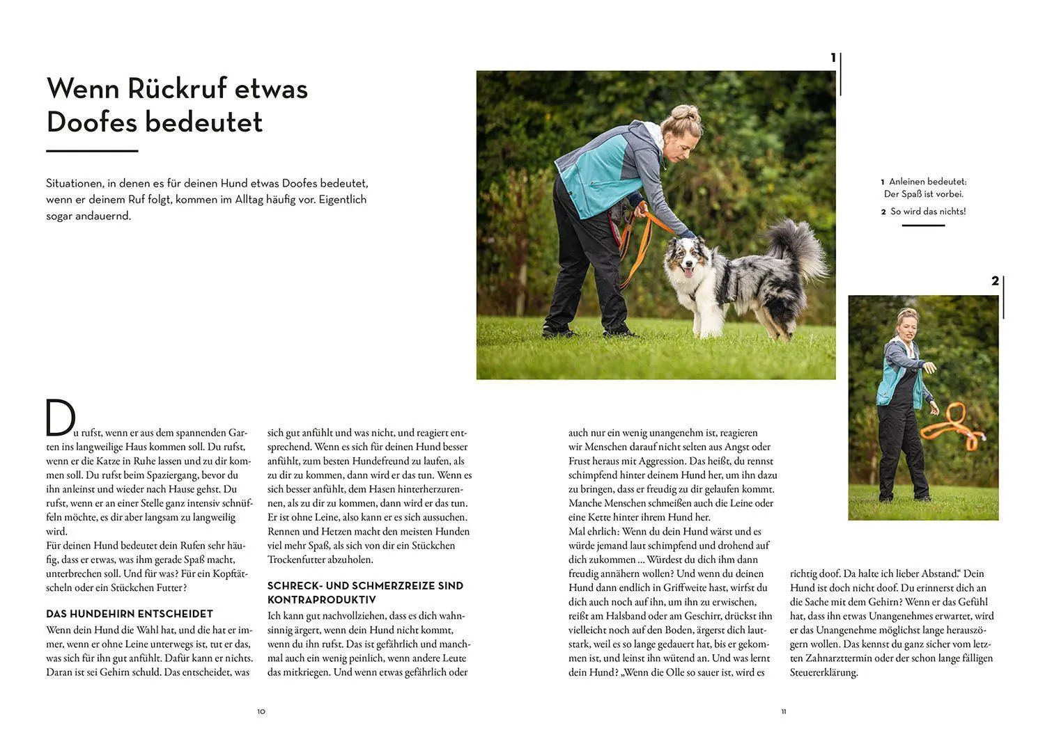Bild: 9783440173794 | Raketenstart-Rückruf | Sonja Meiburg | Taschenbuch | 208 S. | Deutsch