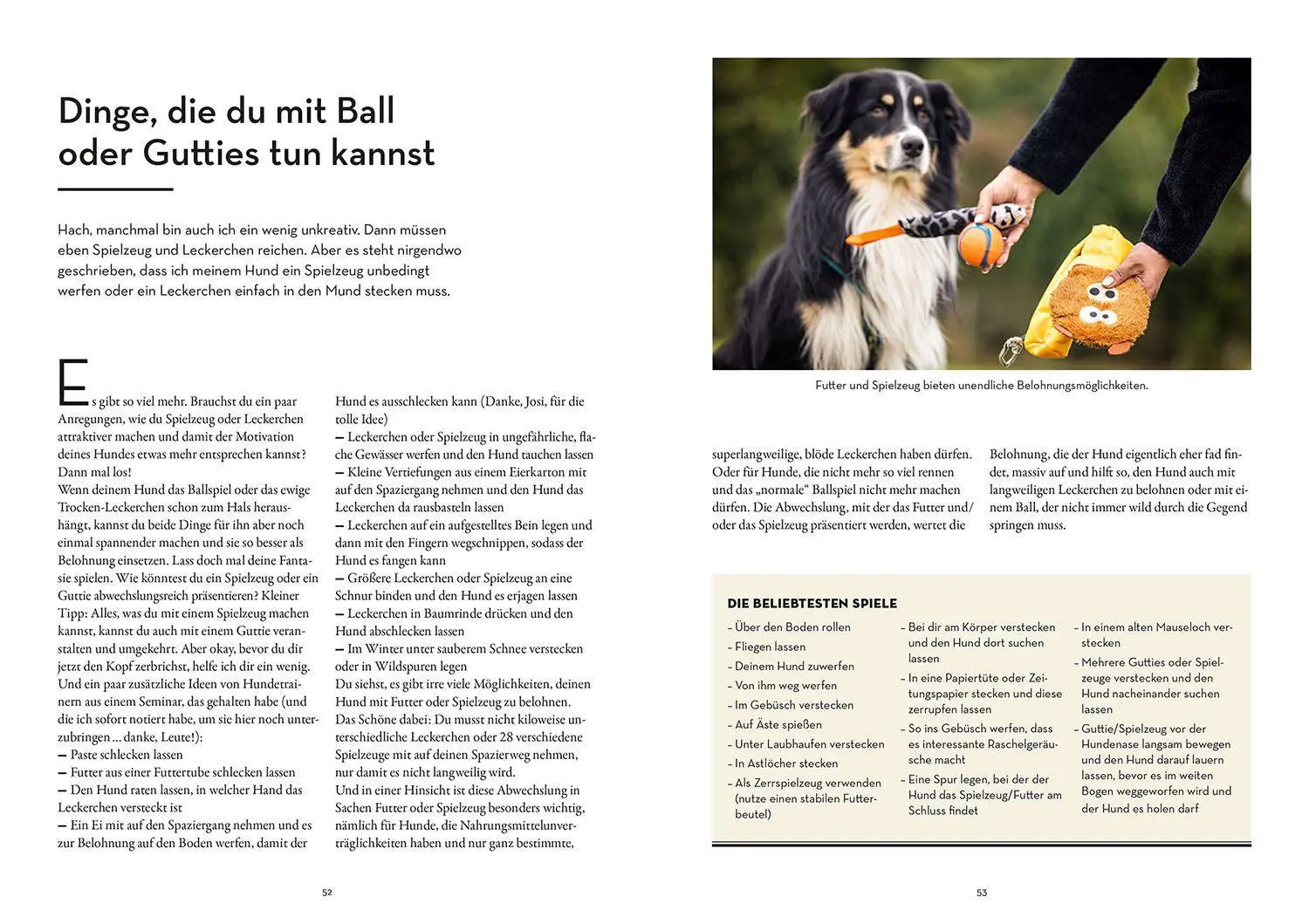Bild: 9783440173794 | Raketenstart-Rückruf | Sonja Meiburg | Taschenbuch | 208 S. | Deutsch