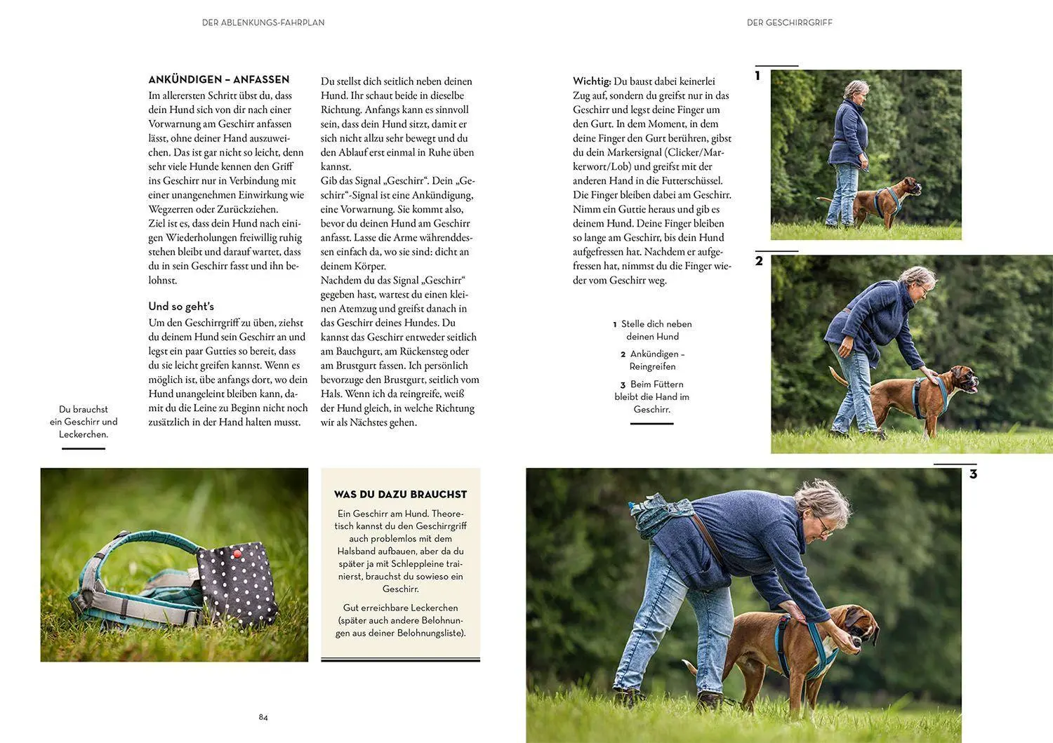 Bild: 9783440173794 | Raketenstart-Rückruf | Sonja Meiburg | Taschenbuch | 208 S. | Deutsch