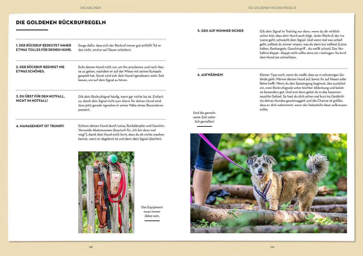 Bild: 9783440173794 | Raketenstart-Rückruf | Sonja Meiburg | Taschenbuch | 208 S. | Deutsch