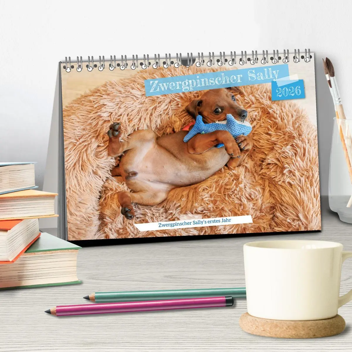 Bild: 9783457483794 | Zwergpinscher Sally's erstes Jahr (Tischkalender 2026 DIN A5 quer),...