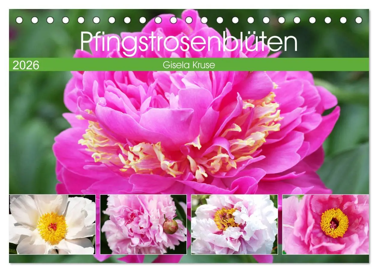 Cover: 9783457793794 | Pfingstrosenblüten (Tischkalender 2026 DIN A5 quer), CALVENDO...