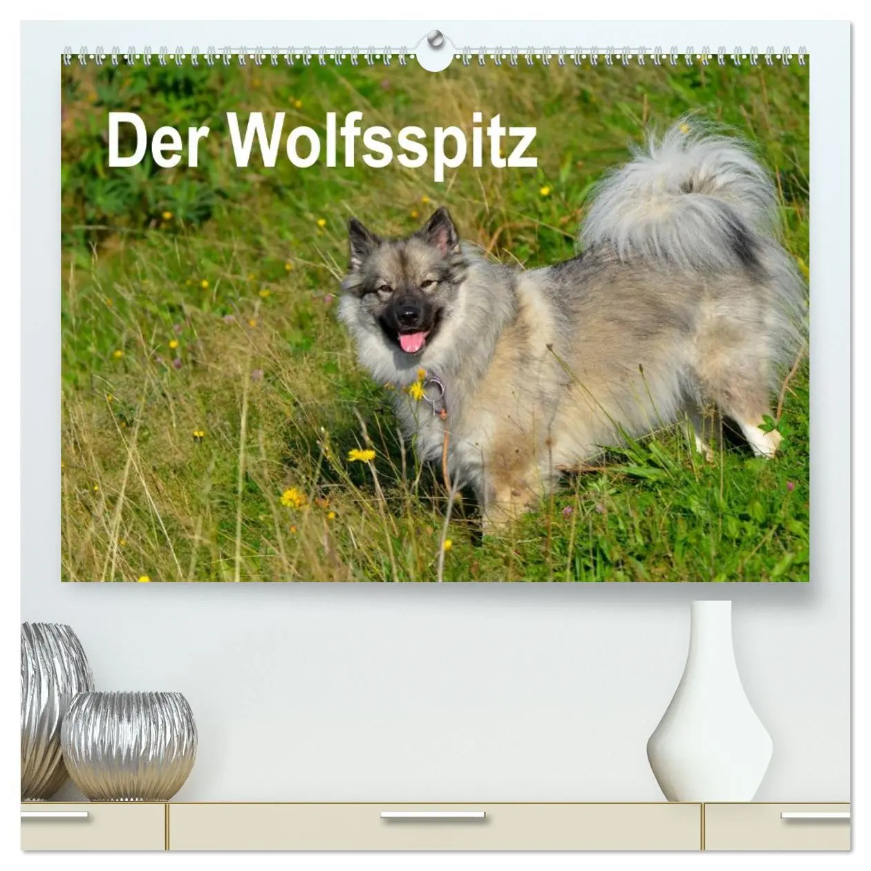 Cover: 9783516193794 | Der Wolfsspitz (hochwertiger Premium Wandkalender 2026 DIN A2...