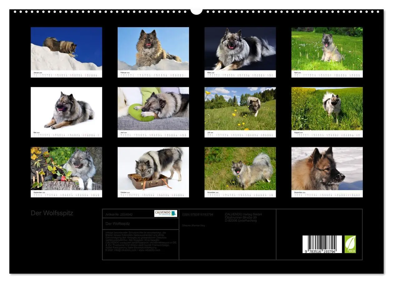 Bild: 9783516193794 | Der Wolfsspitz (hochwertiger Premium Wandkalender 2026 DIN A2...