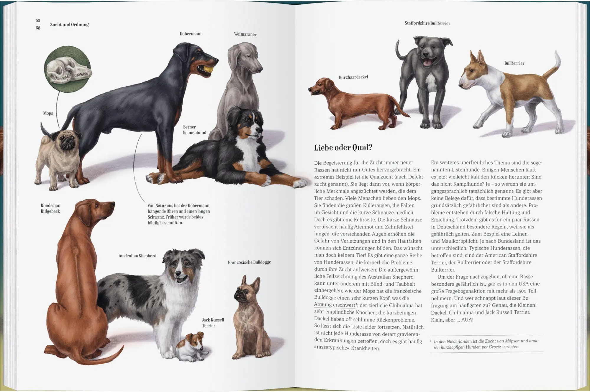 Bild: 9783836963794 | Wie der Hund zu uns kam | Eine Geschichte von Hunden und Menschen