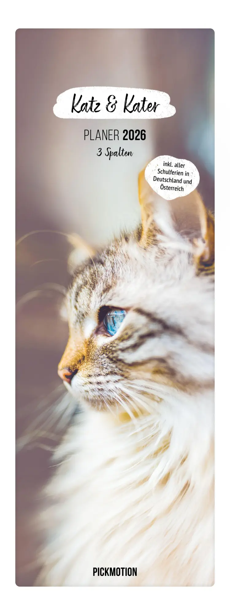 Cover: 4251781193894 | Planer 2026 - Katz &amp; Kater | 3 Spalten | Pickmotion | Kalender | 2026