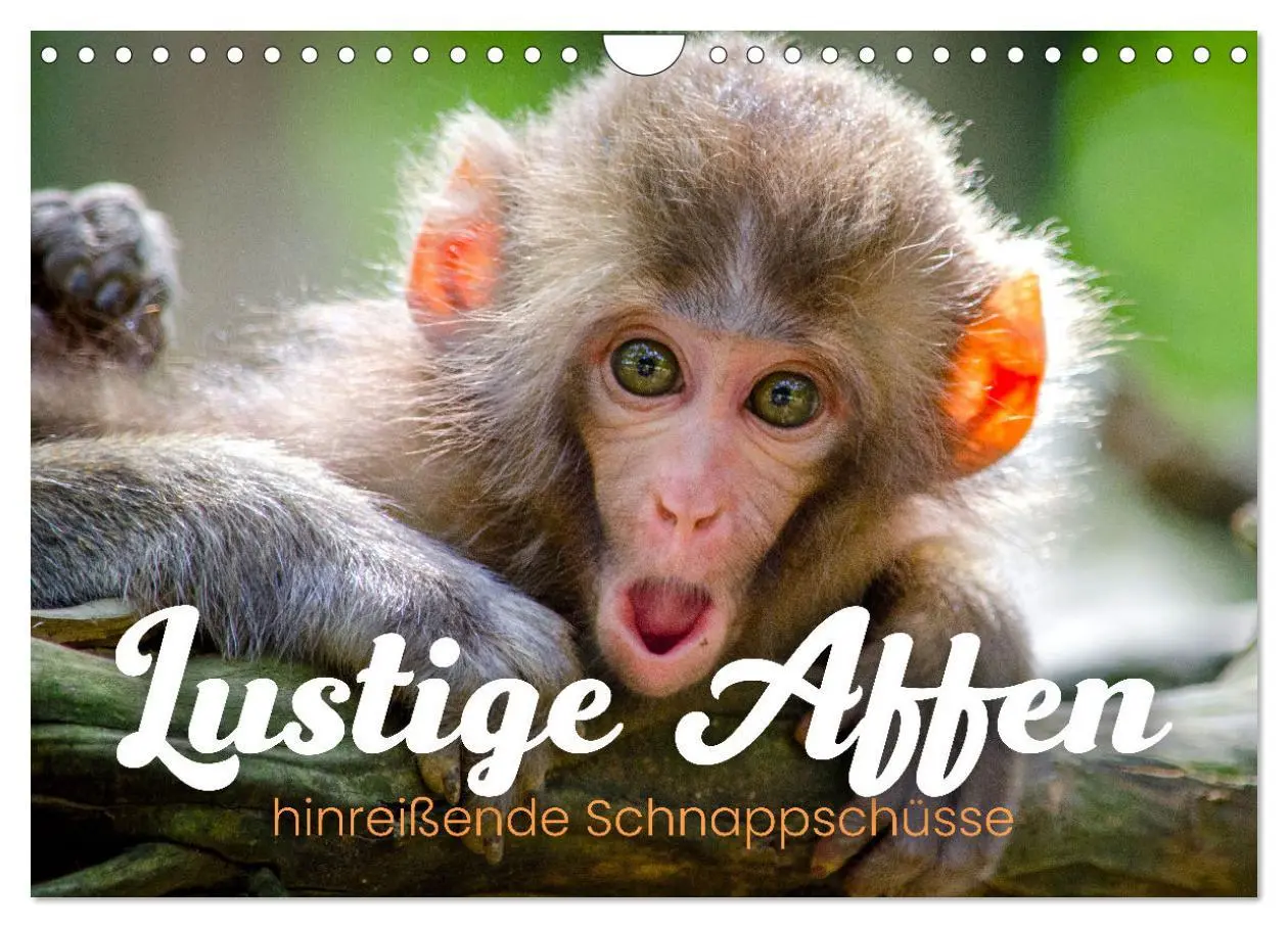 Cover: 9783457533994 | Lustige Affen - hinreißende Schnappschüsse (Wandkalender 2026 DIN...
