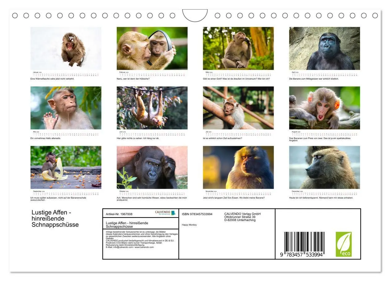 Bild: 9783457533994 | Lustige Affen - hinreißende Schnappschüsse (Wandkalender 2026 DIN...