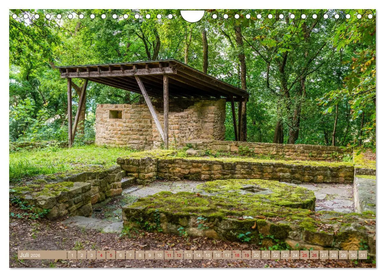 Bild: 9783457843994 | Mystischer Disibodenberg (Wandkalender 2026 DIN A4 quer), CALVENDO...