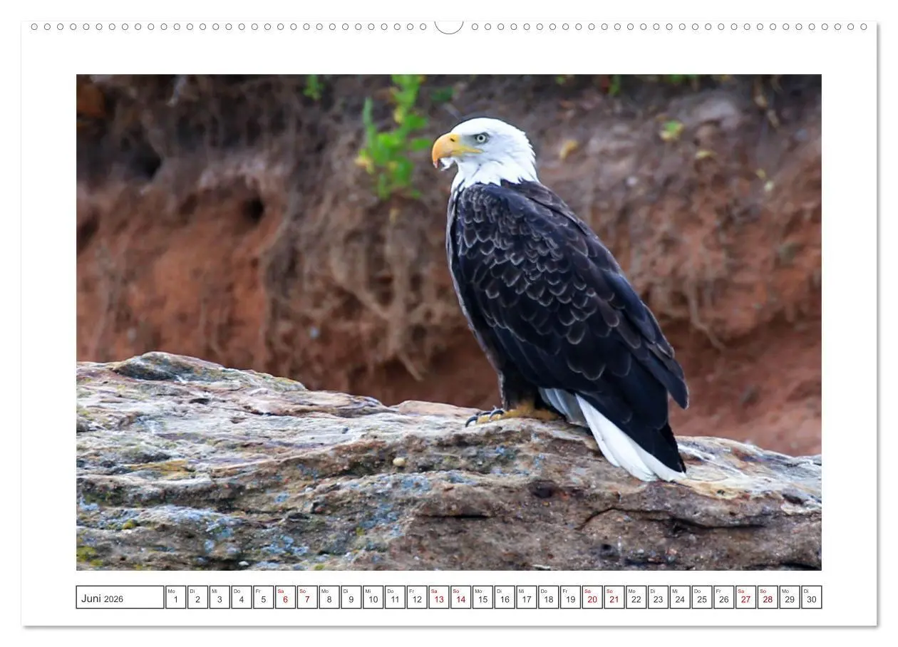 Bild: 9783457913994 | Nova Scotia - Neue Bilderreise durch Kanadas Osten (Wandkalender...