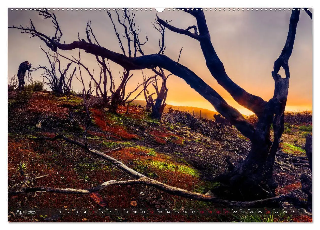 Bild: 9783435404094 | La Isla de La Gomera - Wilde Schönheit im Atlantik (Wandkalender...