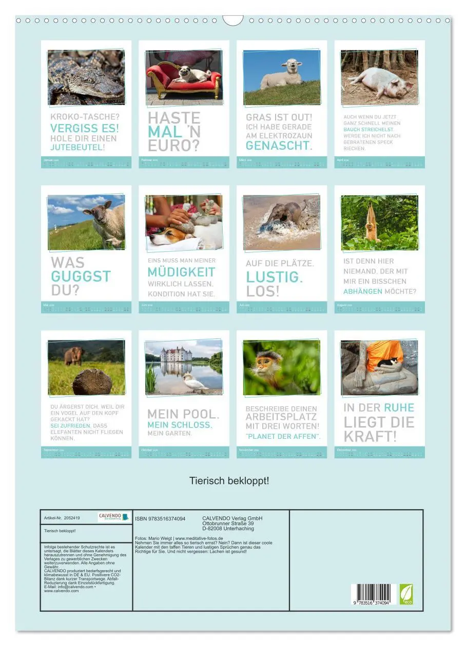 Bild: 9783516374094 | Tierisch bekloppt! (Wandkalender 2026 DIN A2 hoch), CALVENDO...