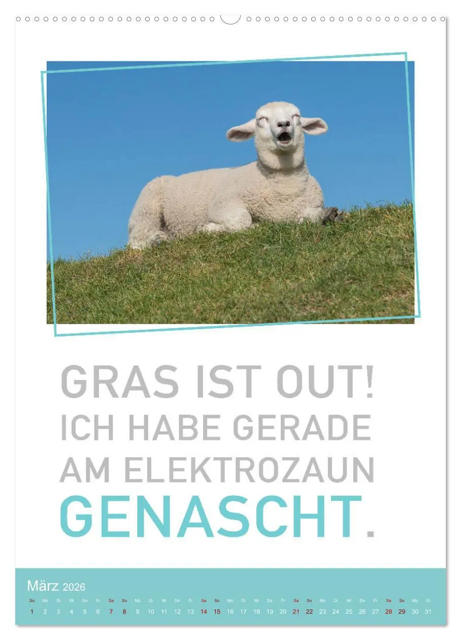 Bild: 9783516374094 | Tierisch bekloppt! (Wandkalender 2026 DIN A2 hoch), CALVENDO...