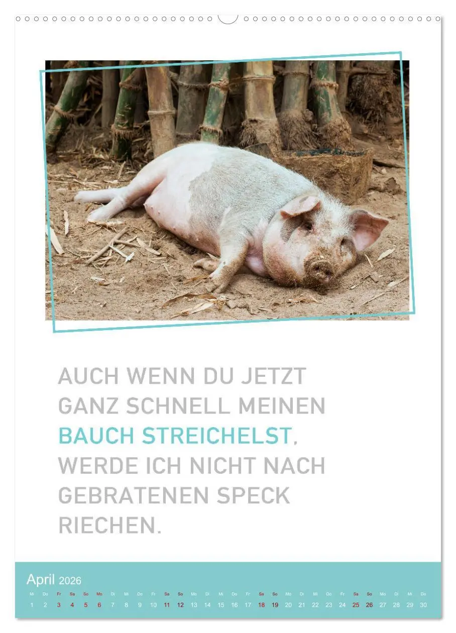 Bild: 9783516374094 | Tierisch bekloppt! (Wandkalender 2026 DIN A2 hoch), CALVENDO...