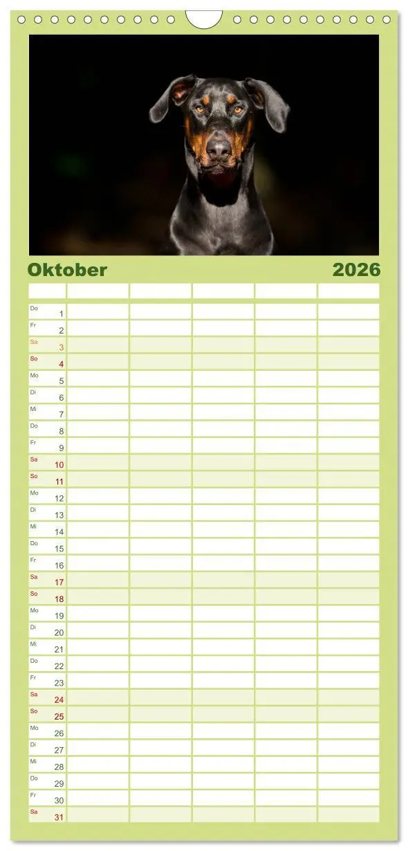 Bild: 9783516514094 | Familienplaner 2026 - Dobermann mit 5 Spalten (Wandkalender, 21 x...