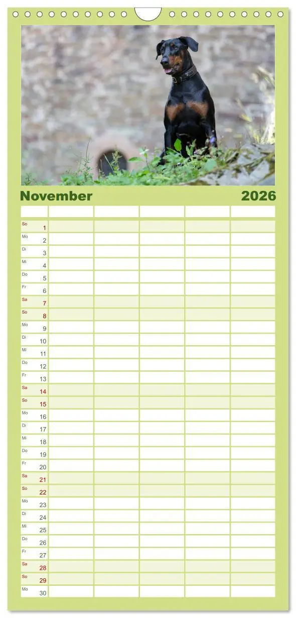Bild: 9783516514094 | Familienplaner 2026 - Dobermann mit 5 Spalten (Wandkalender, 21 x...