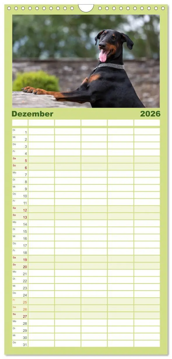 Bild: 9783516514094 | Familienplaner 2026 - Dobermann mit 5 Spalten (Wandkalender, 21 x...