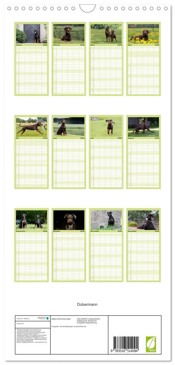 Bild: 9783516514094 | Familienplaner 2026 - Dobermann mit 5 Spalten (Wandkalender, 21 x...