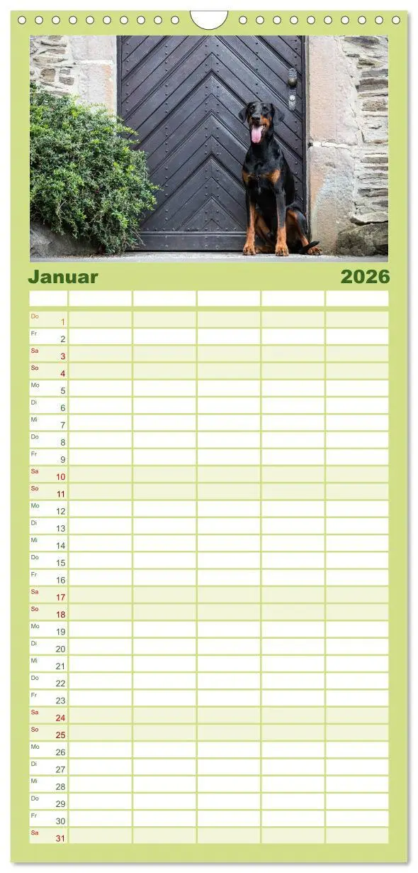 Bild: 9783516514094 | Familienplaner 2026 - Dobermann mit 5 Spalten (Wandkalender, 21 x...