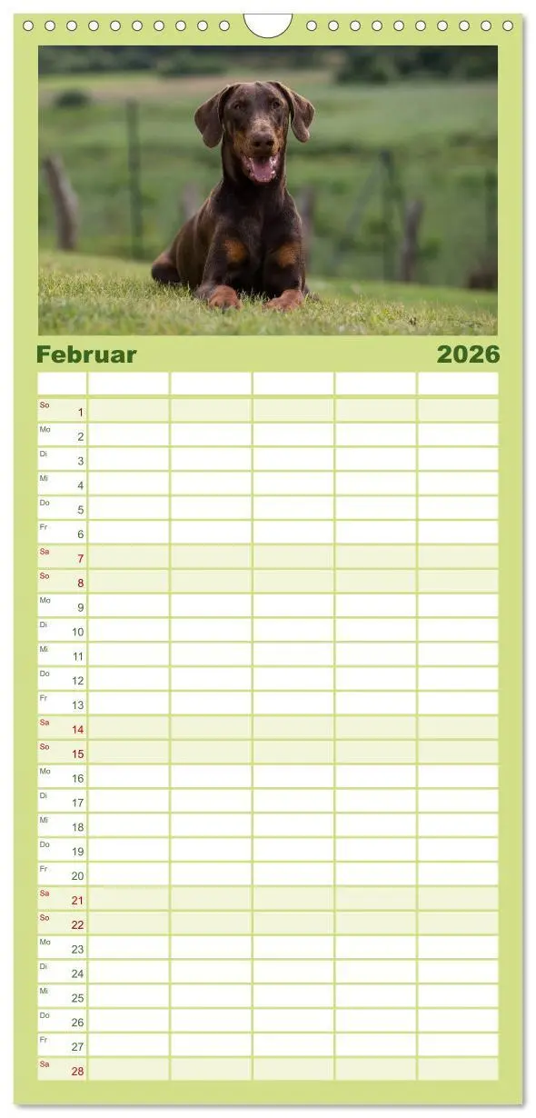 Bild: 9783516514094 | Familienplaner 2026 - Dobermann mit 5 Spalten (Wandkalender, 21 x...