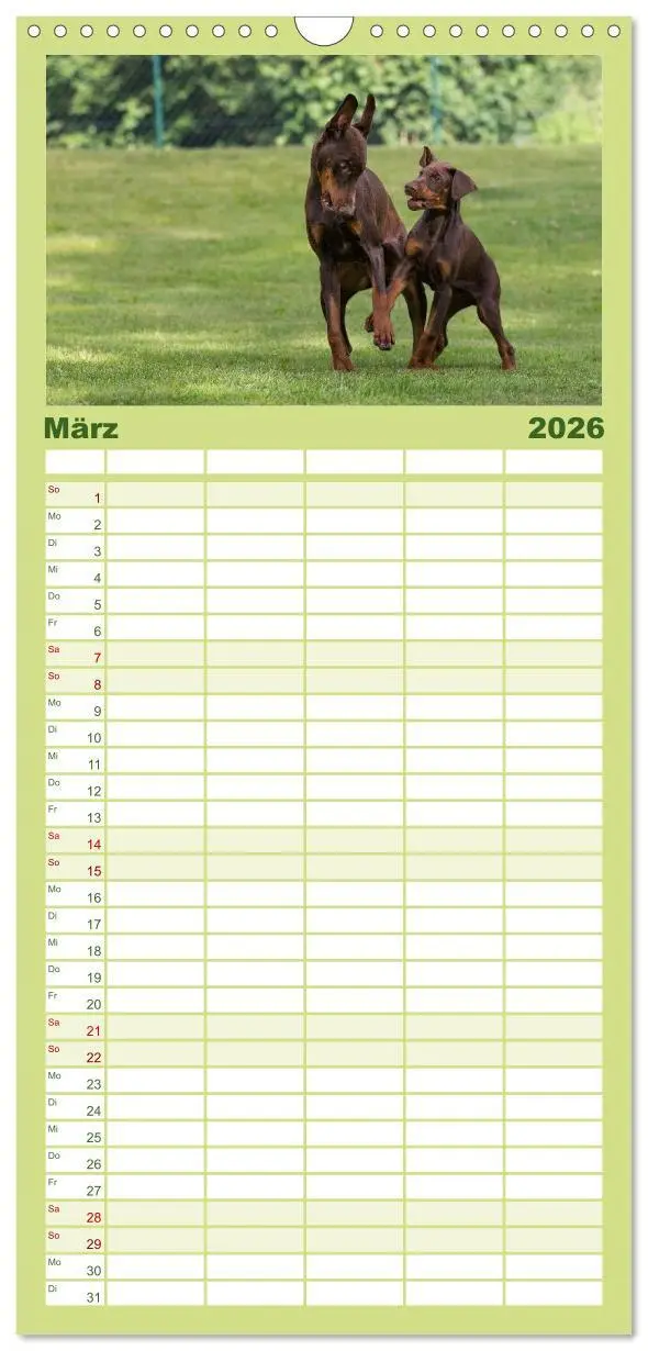 Bild: 9783516514094 | Familienplaner 2026 - Dobermann mit 5 Spalten (Wandkalender, 21 x...