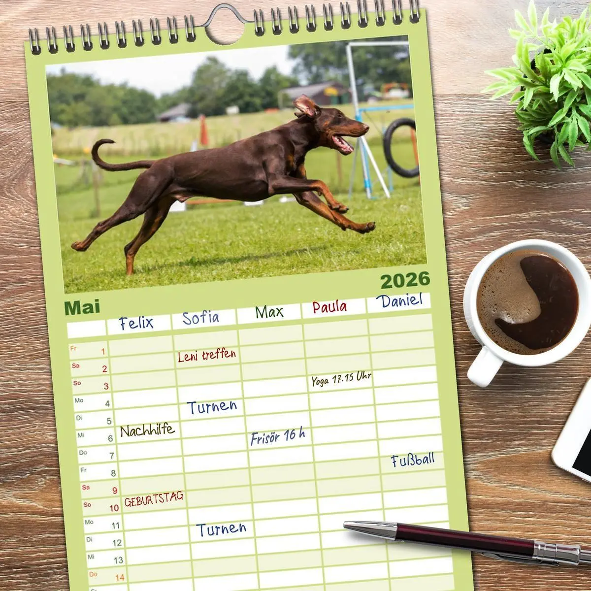 Bild: 9783516514094 | Familienplaner 2026 - Dobermann mit 5 Spalten (Wandkalender, 21 x...