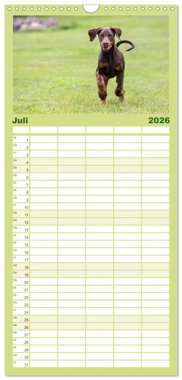 Bild: 9783516514094 | Familienplaner 2026 - Dobermann mit 5 Spalten (Wandkalender, 21 x...