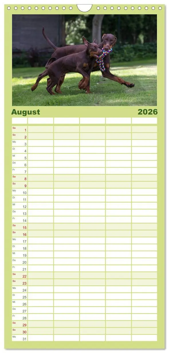 Bild: 9783516514094 | Familienplaner 2026 - Dobermann mit 5 Spalten (Wandkalender, 21 x...