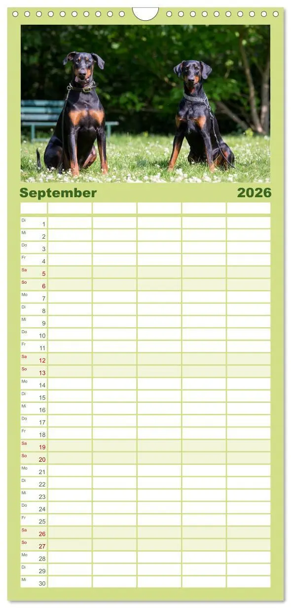 Bild: 9783516514094 | Familienplaner 2026 - Dobermann mit 5 Spalten (Wandkalender, 21 x...