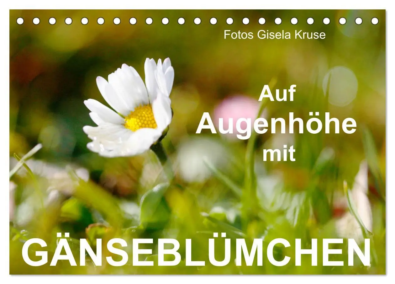 Cover: 9783435254194 | Auf Augenhöhe mit Gänseblümchen (Tischkalender 2025 DIN A5 quer),...