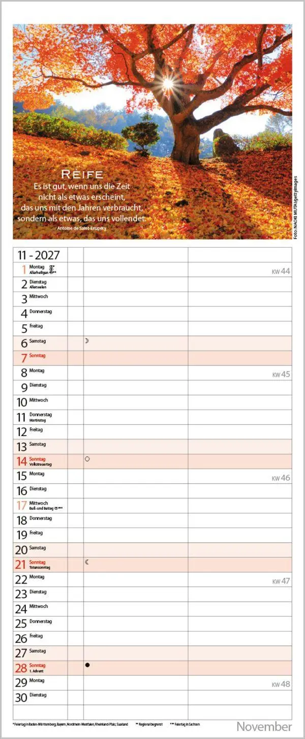 Bild: 9783819304194 | Planer für die besten Jahre 2027 | Verlag Korsch | Kalender | 14 S.