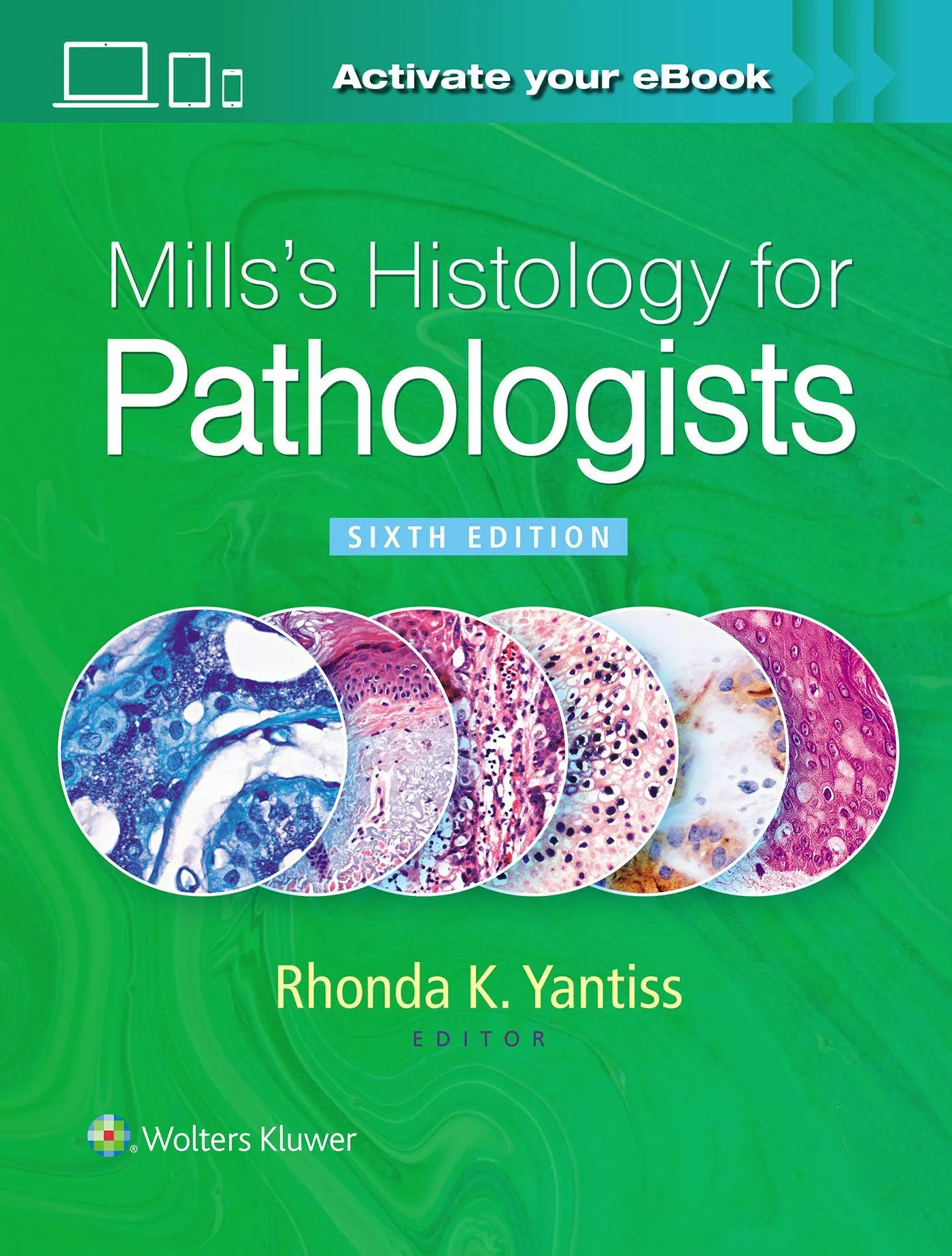 Cover: 9781975234294 | Mills's Histology for Pathologists | Rhonda Yantiss | Buch | Englisch