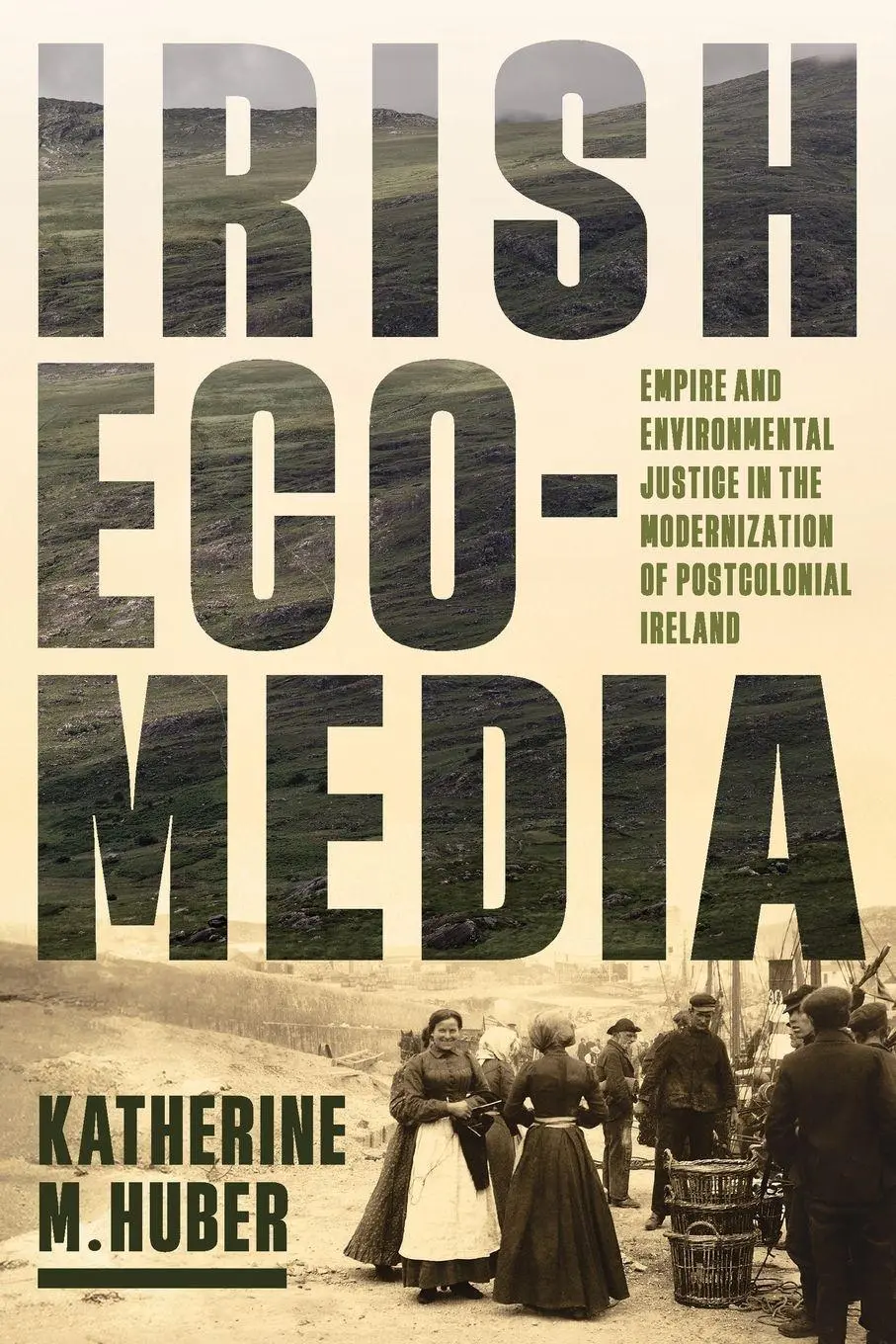 Cover: 9780813954394 | Irish Ecomedia | Katherine M Huber | Taschenbuch | Englisch | 2026