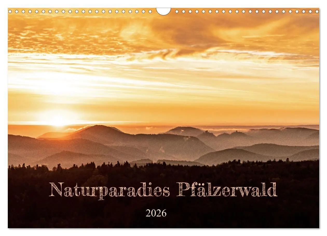Cover: 9783457564394 | Naturparadies Pfälzerwald (Wandkalender 2026 DIN A3 quer), CALVENDO...
