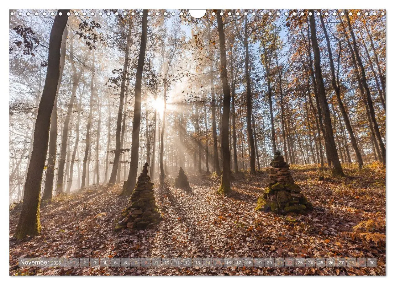 Bild: 9783457564394 | Naturparadies Pfälzerwald (Wandkalender 2026 DIN A3 quer), CALVENDO...