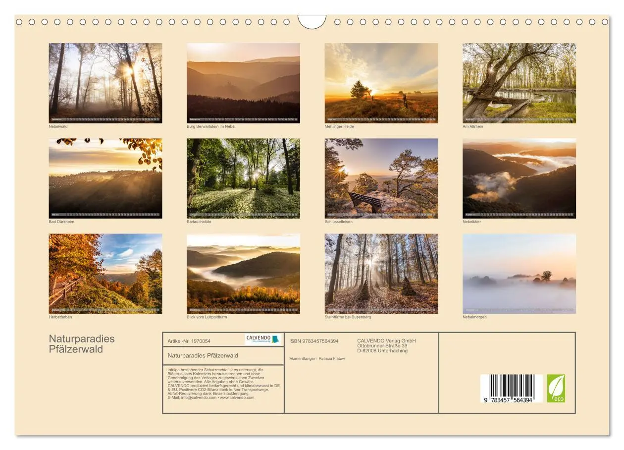 Bild: 9783457564394 | Naturparadies Pfälzerwald (Wandkalender 2026 DIN A3 quer), CALVENDO...