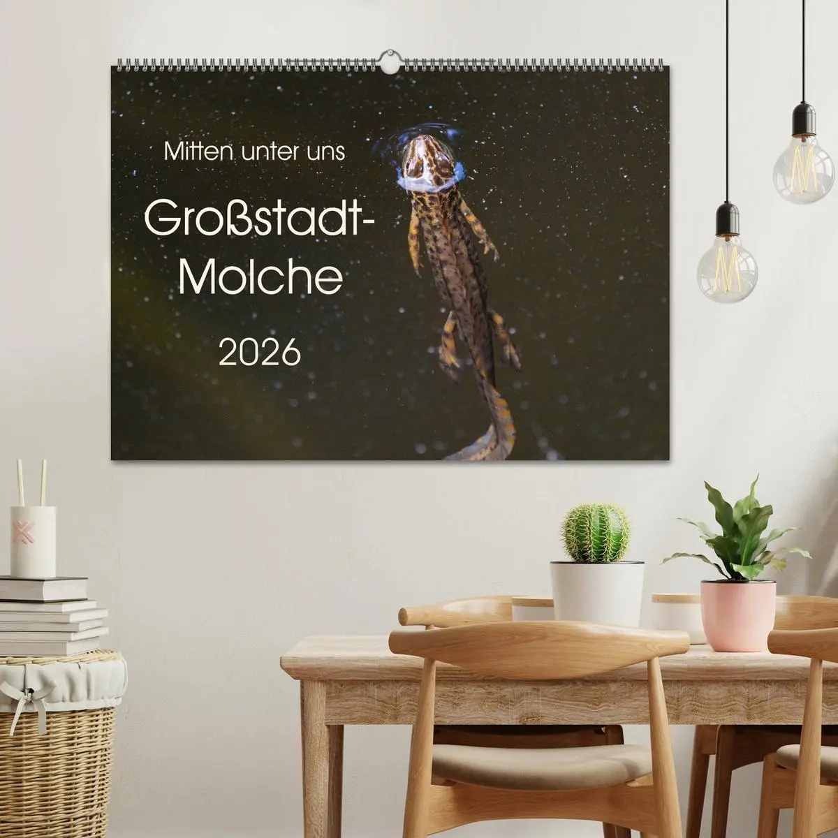 Bild: 9783457874394 | Mitten unter uns - Großstadt-Molche (Wandkalender 2026 DIN A2...