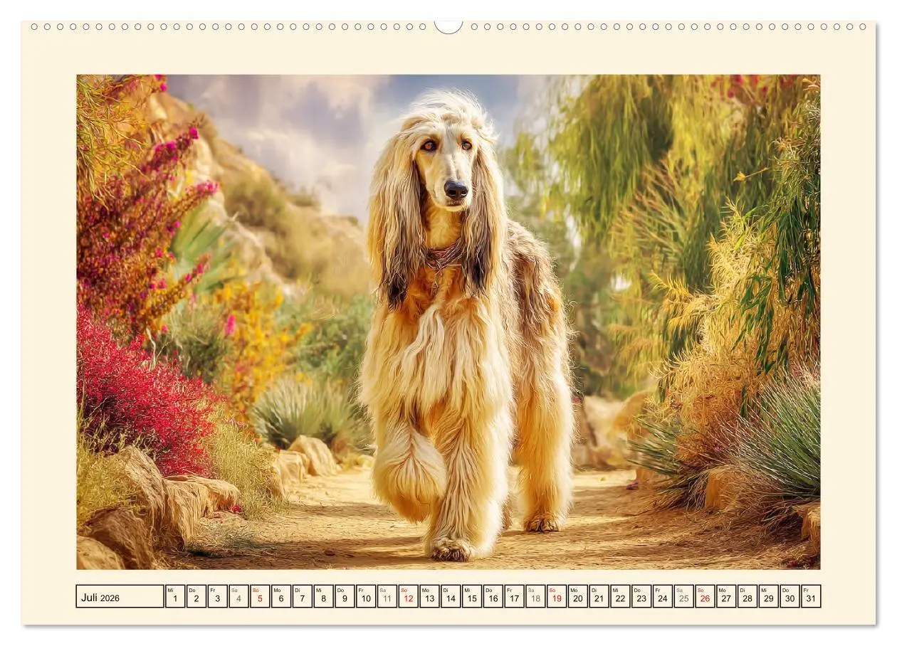 Bild: 9783516584394 | Afghanischer Windhund. Eleganter Sichtjäger und sensibler...
