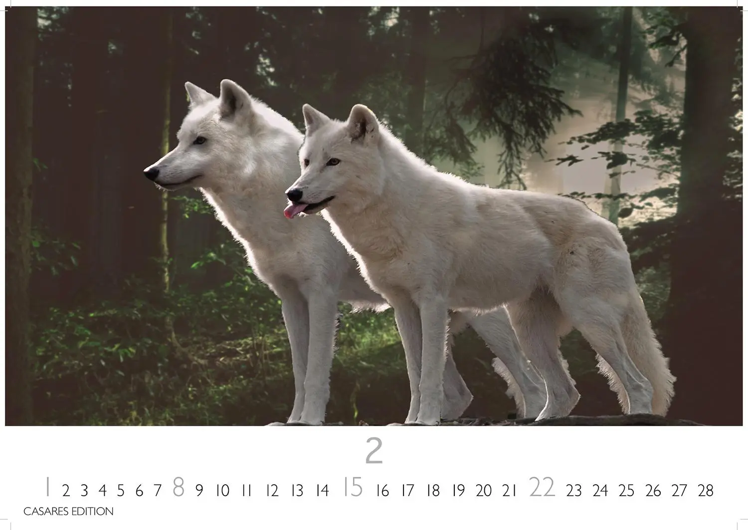 Bild: 9781835244494 | Wölfe 2026 S 24x35cm | Kalender | 14 S. | Deutsch | 2026
