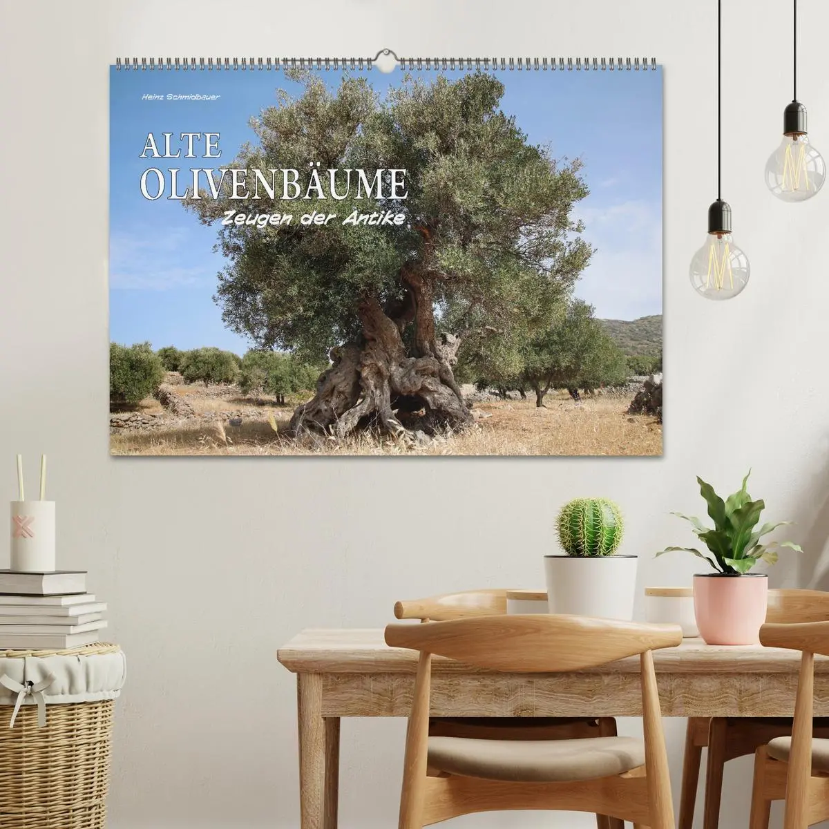 Bild: 9783457934494 | ALTE OLIVENBÄUME Zeugen der Antike (Wandkalender 2026 DIN A2 quer),...